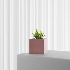 Кашпо из бетона &laquo;КУБ 120*120*120mm&raquo; розовый