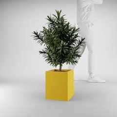 Кашпо з бетону &laquo;250*250*h300mm&raquo; жовте