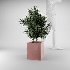 Кашпо з бетону &laquo;250*250*h300mm&raquo; рожевий